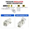 NEW Type ARM10 Series Single Unit Regulator - ARM10F1 ARM10F2-06 ARM10F2-08 ARM10F2-20BG Electronic Component