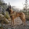 Easy On Off Dog Harness No-Pull with Handle, Adjustable Reflective Harness, Heavy-Duty No-fuss Padded Nylon for Medium Large Dogs Walking Training