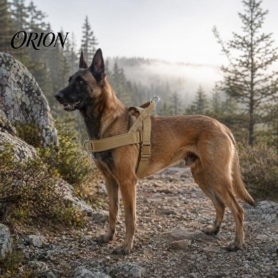 Easy On Off Dog Harness No-Pull with Handle, Adjustable Reflective Harness, Heavy-Duty No-fuss Padded Nylon for Medium Large Dogs Walking Training