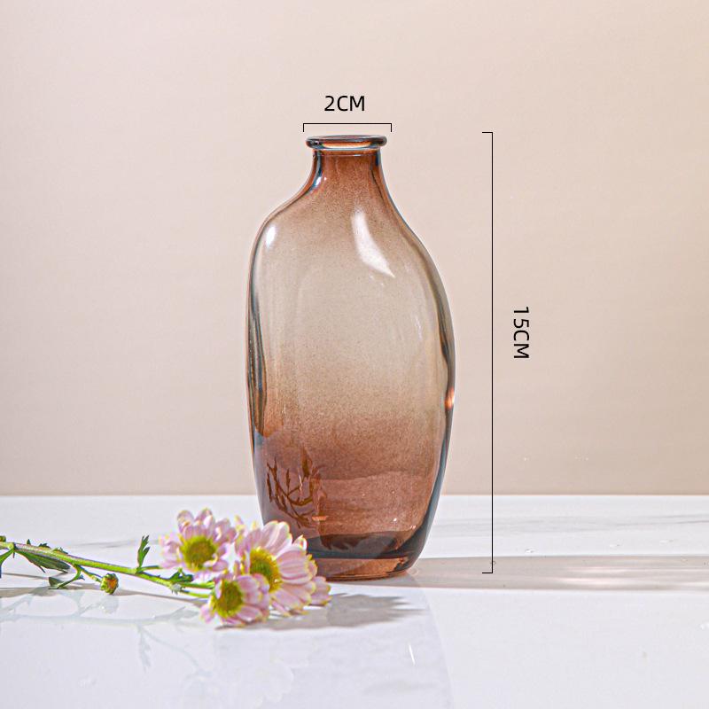 Minimalist Glass Vase for Hydroponic Green Plants - Perfect for Living Room Flower Arrangements and Home Decor