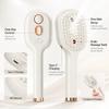 3-in-1 Electric Spray Air Cushion Massage Comb Rechargeable Hair Care Comb Electric Steam Brush