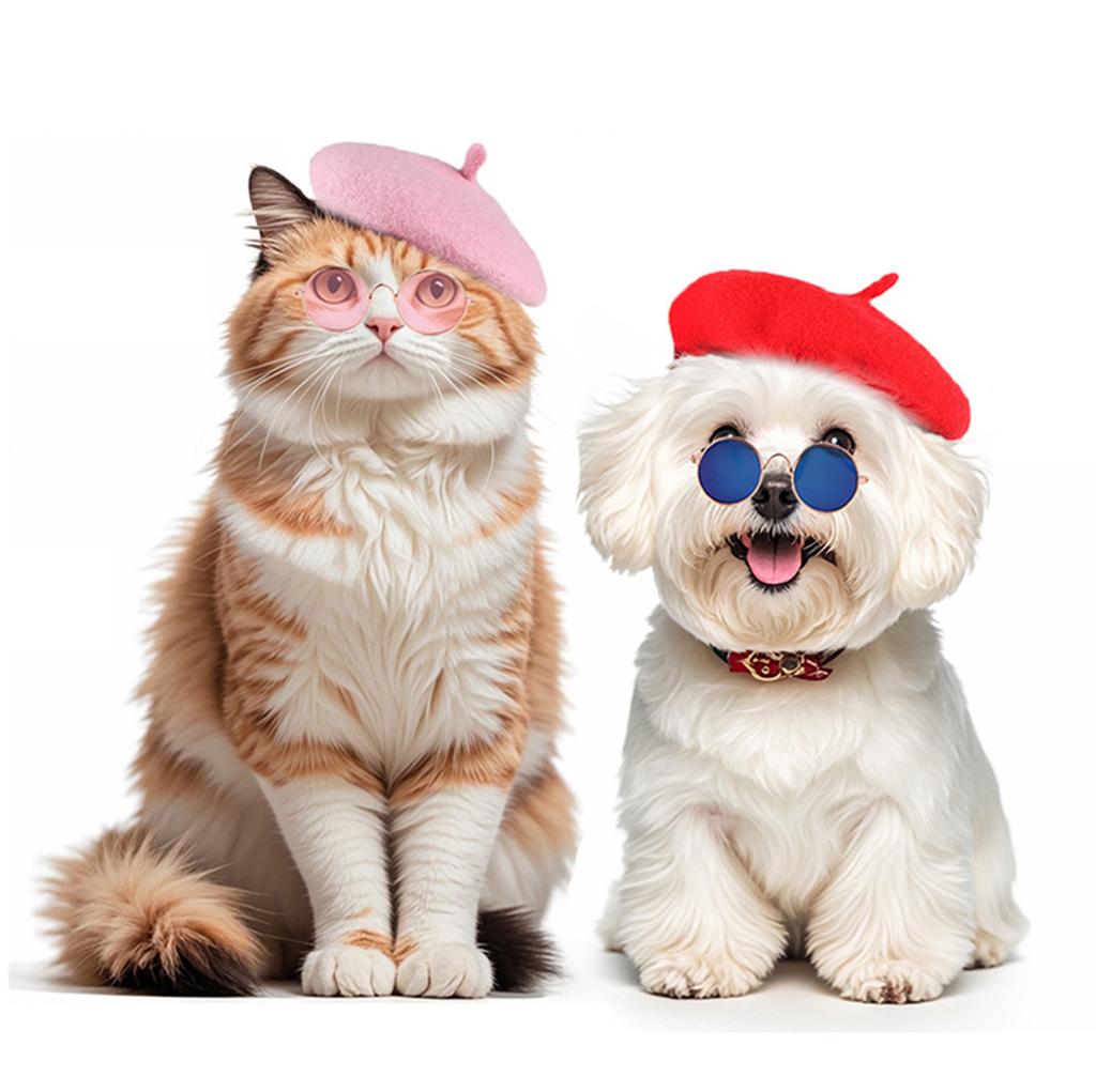 Pet Beret Hat and Sunglasses Set for Halloween Cosplay Party Fashion Costume Accessories for Cats and Dogs Comfortable