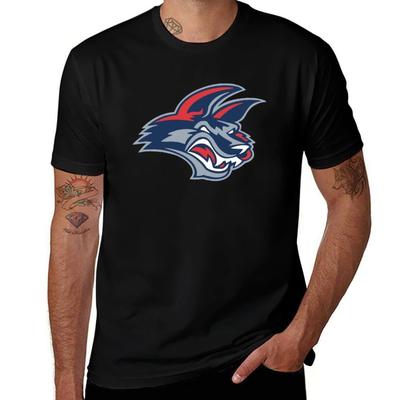 Üst giysisi – T-shirtler