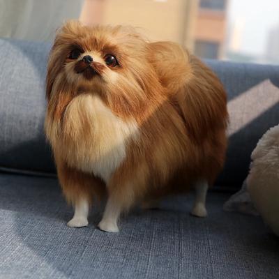 22cm Simulation Pomeranian Plüsch Plüschtiere Hundepuppe Spielzeug Handwerk Heimdekoration Tiermodell Kindergeschenk Plüschtiere