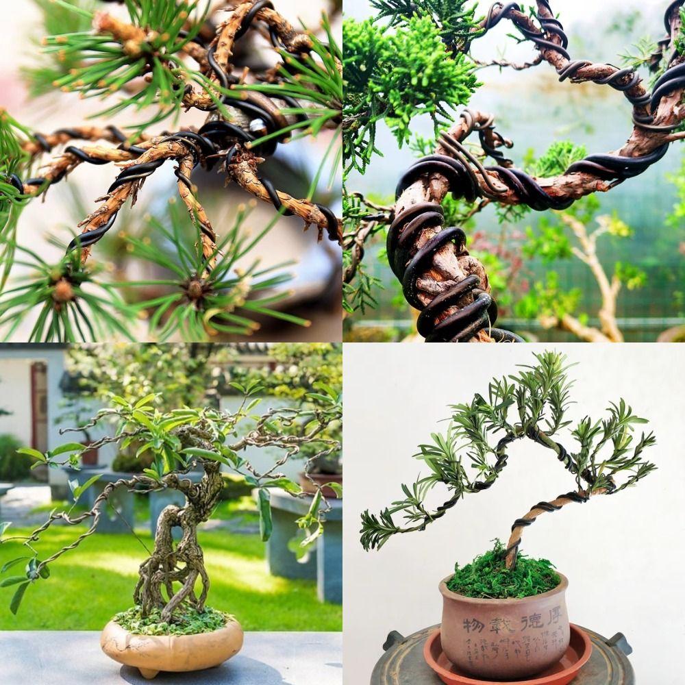 Garden Bonsai Shape Bonsai Training Wire Aluminum Garden Accessories Black Bonsai Wire