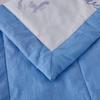 Red Bean Home Silky Cool Summer Quilt
