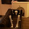Halloween Skeleton Arm Leg Foot Head Set 5pcs Outdoor Garden Yard Decor Horror Prop