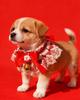 New Christmas Day Lace Pet Collar Princess Style Dog Saliva Scarf Cat Scarf Bib