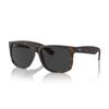 Sunglasses RB4165F JUSTIN 55 Asian Fit [Ray-Ban] 865/87