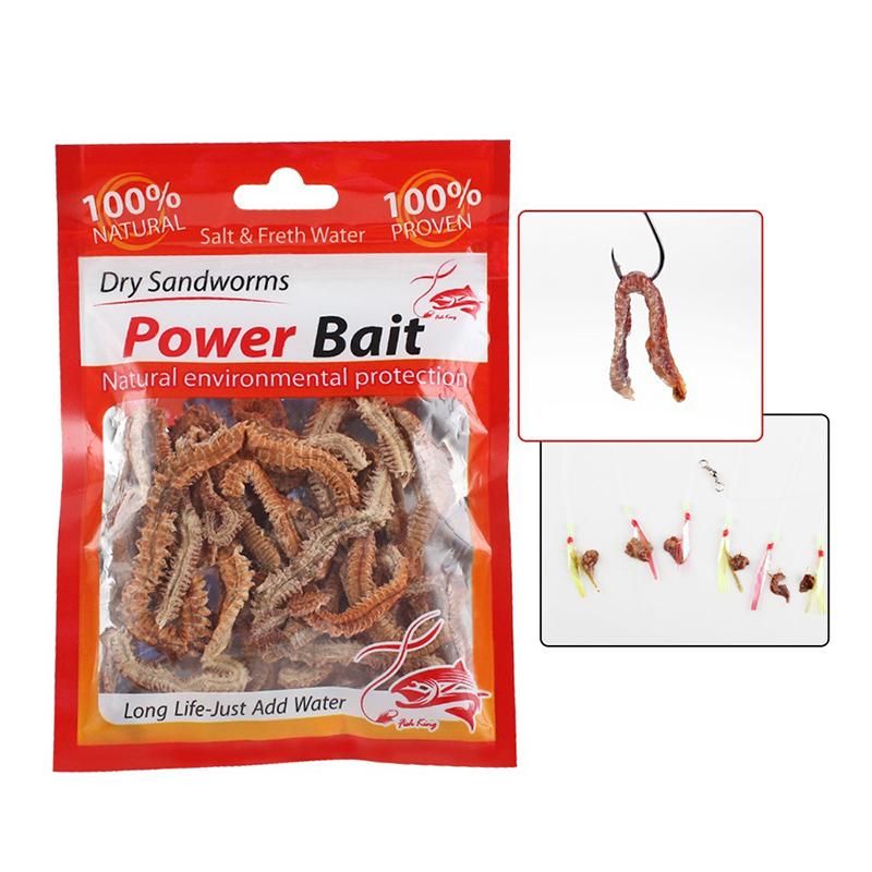 Natural Dry Sandworm 10G Fishing Lures Outdoor Angling Tournament Seductive Food Carp Catching For Winter Ice Sea Fishing