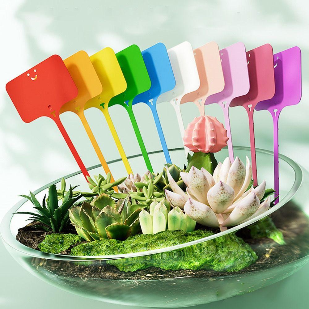 100Pcs T-type Sign Tags Plant Markers Colorful Plastic Marker Tags Solid Color Name Tag