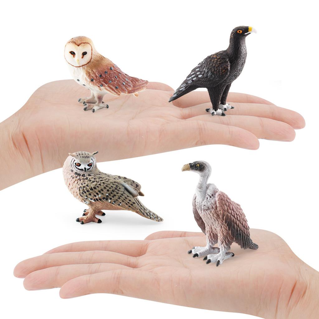 Simulation Of Birds, Birds, Animal Models, Cognition, Monkey Face Eagle, Eagle, Vulture, Owl, Cognition, Static Ornament