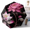 Accesorii – Umbrele