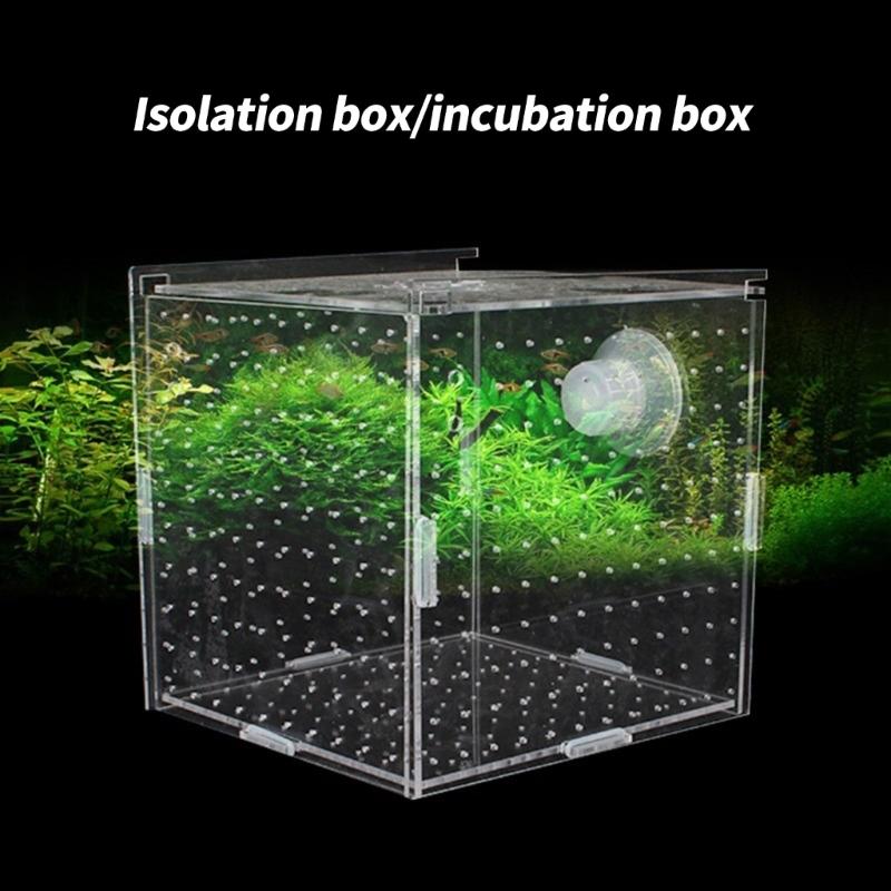 FishTank Hatchery Incubator Aquarium Small Breeding Box Clear Breeder Isolation Hatching Box