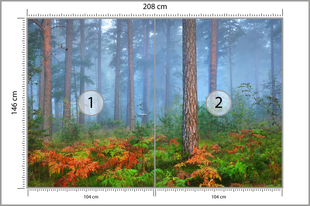 Photomural Forest In Fog Washable Fleece 208x146