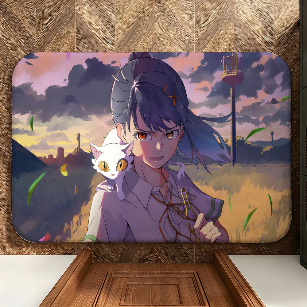 AnimeFilm S-Suzume Floor Mat Soft Flannel Floor Mat  Suitable for Entryways, Living Rooms, Bedrooms, and Bathrooms