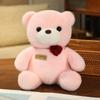 Rose Sitting Teddy Bear Plush Toy Cartoon Stuffed Animal Doll Decoration Gift