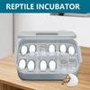 12 Grids Hatch Box Snake Lizard Reptile Egg Tray Boxes Hatching Eggs Device Climbing Pet Tortoise Turtle Incubator Supplies