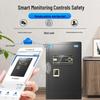 TIGER Smart Fingerprint & Password Safe
