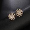 Fashion Black WhiteMixed Sparkle Rhinestone Clip on Earrings Round Gold Without Piercing Elegant Woman Wedding Jewelry Gift