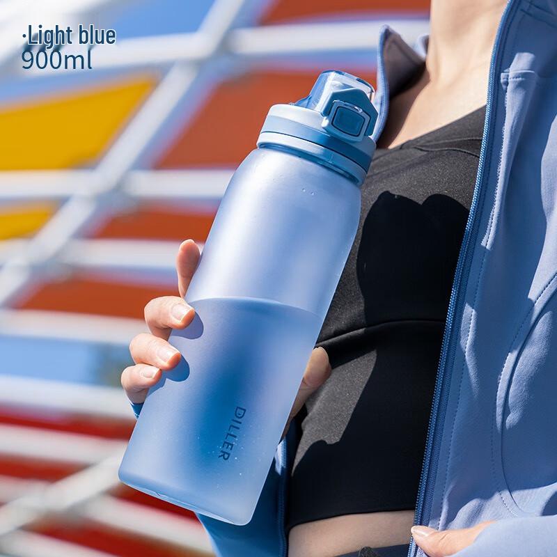 Diller Frosted Portable Water Bottle with Tea Infuser