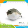 Children's Cognitive Simulation: Wild Animal Models - Rain Frog, Clown Frog, Otter, Seal, Pufferfish, Raccoon, Cat Ornament