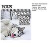 Monthly Planner for Dog Lovers Funny Dogs 2027 Wall Calendar, Jan to Dec 12 Month Functional Desk Decor Hanging with Thick Paper Home Office