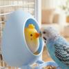 Eggshell Bird Bird Food Dispenser Bite Resistant Bird Standing Stick  Cage Accessory