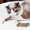Natural Catnip Cat Molar Toothpaste Stick Cat Cleaning Teeth Cat Pet Sticks Cat Snack Cleaning Teeth Stick Pet Chew Catnip Toy