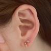 Own 14K Gold Starry Piercing