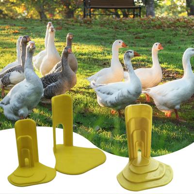 4Pcs/Set Chick Splay Leg Brace Hobble Splint Poultry First Aid Essential Duck Leg Splint for Baby Chicks Goslings And Juvenile Birds