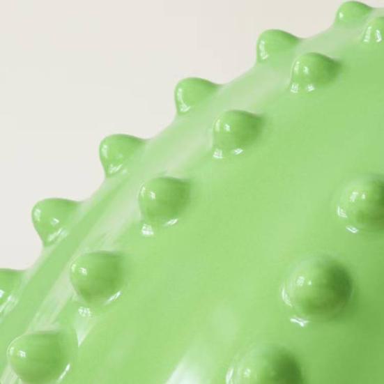 Lotus Fruit Treat Dispensing Dog Toy Interactive Dog Molar Chew Toy Puppy Enrichment Puzzle Toy for Teeth Cleaning Mental Stimulation Training
