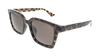 Asian GG1582SK 002 Havana Brown [Gucci] Men's Sunglasses, Fit,