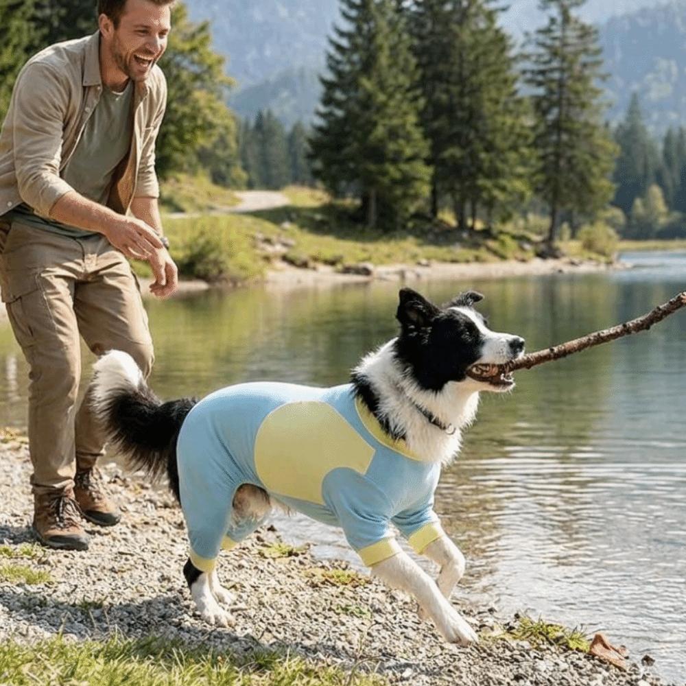 Cool Feeling Dog Sunscreen Costume Sun Protection Dog Summer Clothes  Insect Protection Season
