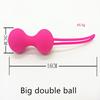 Kegel Ball Ben Wa Ball Vagina Tighten Exercise Machine Vaginal Geisha Ball Sex Toys for Women
