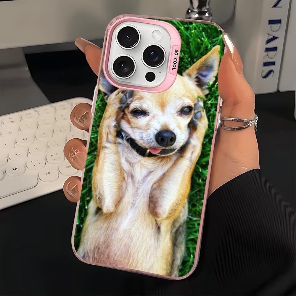 Cute Pet Chihuahua Dog Phone Case For IPhone 16 15 14 13 12 11 Pro Max X XR XSMAX 8 7 Plus Matte Shockproof Back Cover