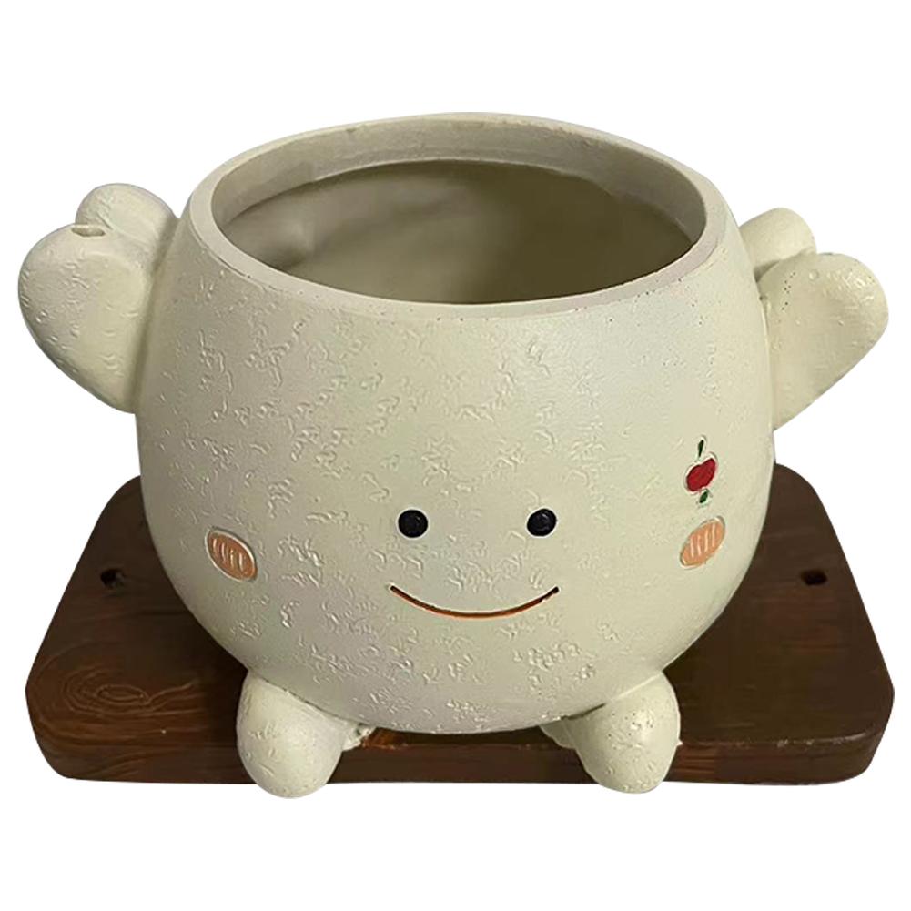 Swing Face Planter Pot Outdoor Plants Succulent Pot Smiling Hanging Planter Pot Cute Smile Face for String of Pearls Succulents