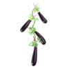 1Set Artificial Hanging String Simulation Lifelike Vegetable Fruit Garland Vine for Home Kitchen Farm Party Wall Decor