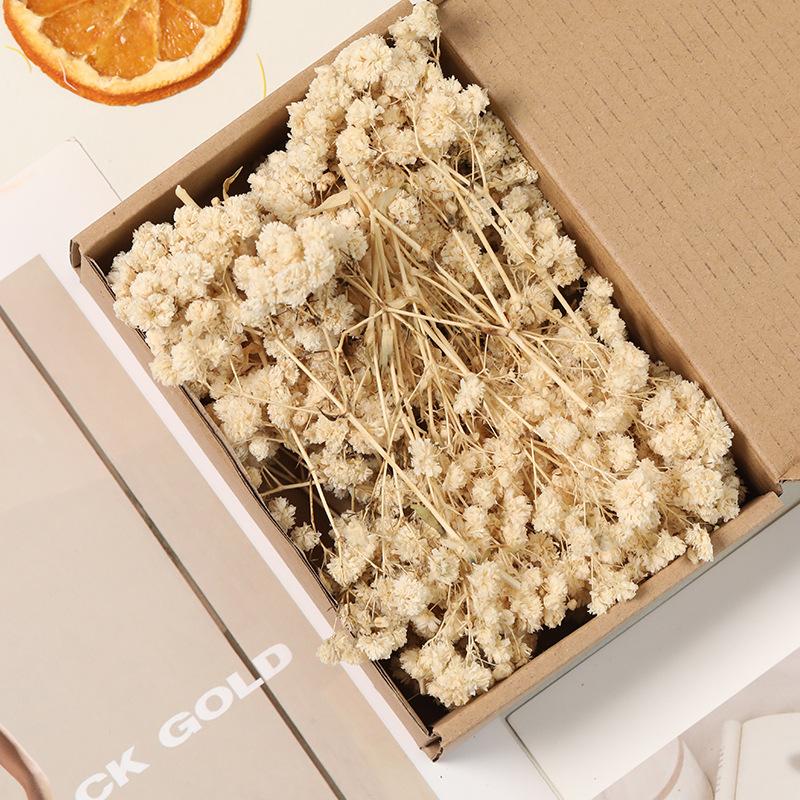 

Gypsophila Dry Flowers Bouquet Vase Envelope Diy Floral Arrangement Wedding Party Artistic Valentine S Day Gifts білий