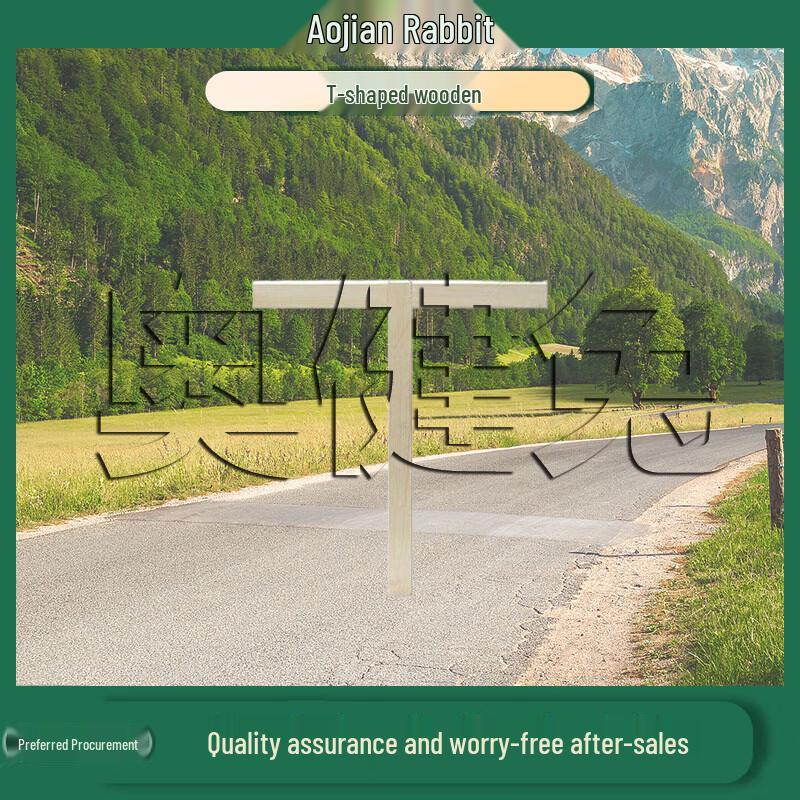 Military Posture  Drill Training Aids