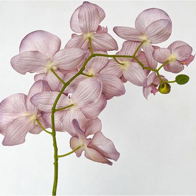 10 Heads Artificial Butterfly Orchid Iron Wire Inner Lining Multi Color Fake Phalaenopsis 98cm Real Touch Silk Flower Home Decor