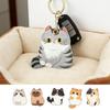 Pu Leather Keychain Holder Compatible With Airtag, Cute Pet Cat And Dog Gps Tracker Case Charm Key Ring