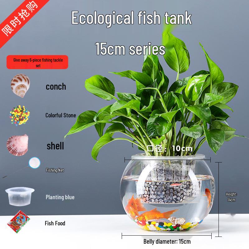 Transparent Round Glass Fish Tank for Office or Living Room - Small Desktop Aquarium for Goldfish or Turtles