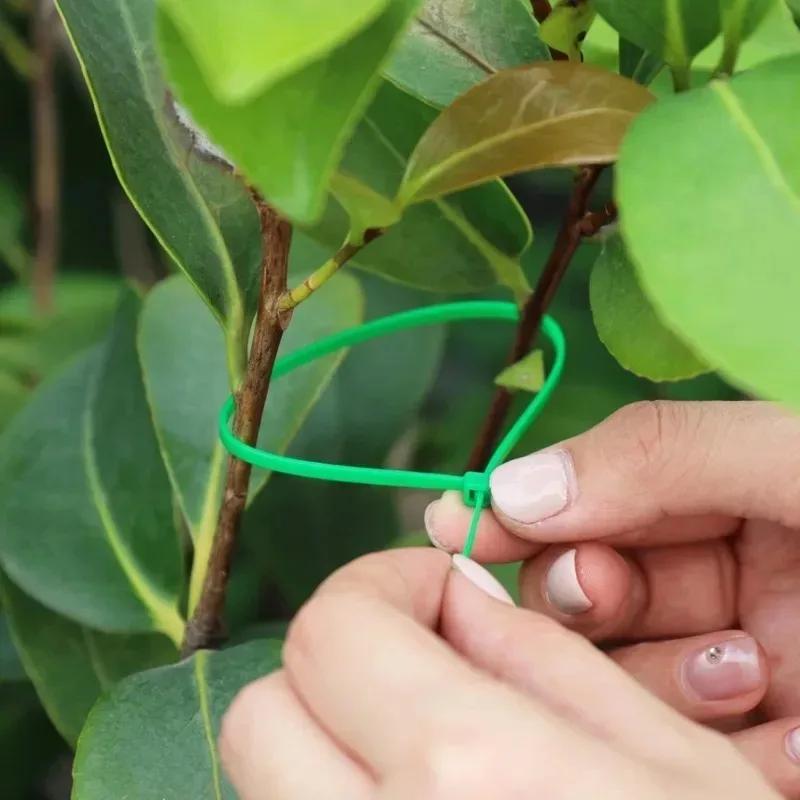 500Pcs Green Nylon Self Locking Cable Ties Heavy Duty Garden Plant Fastening Straps Multi Purpose Wire Bundle Organizer