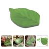 50 Sheets Per Book Green Leaf Stickers Notebooks with Realistic Leaf Shapes Cute Office and Home Decor Paper Reusable Leaves