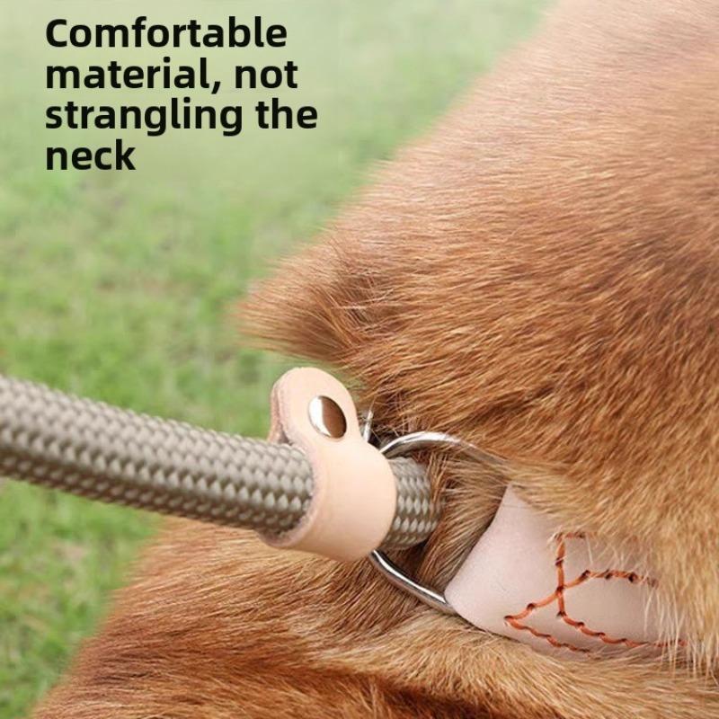 Dog Leash, Explosion-proof P Chain, Dog Walking Leash, Anti-breaking Dog Chain, Medium and Large Dog Explosion-proof P Leash