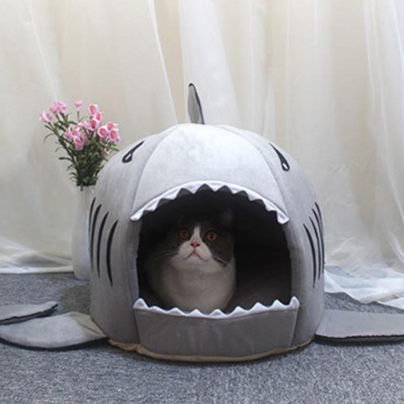 shark cat bed