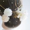 [Lomeri] Dahlia Hair Ornament - Dried Flower - for Kimono, Japanese Clothing, Yukata, Furisode, Coming-of-Age Ceremony, Wedding, Graduation,