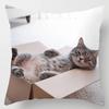Süße Katze Umarmungskissenbezug Haustier Interaktive Illustration Kissen Heilende Heimdekoration Sofakissen