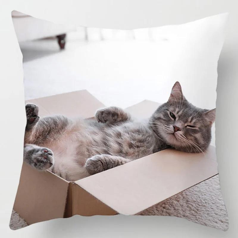 Süße Katze Umarmungskissenbezug Haustier Interaktive Illustration Kissen Heilende Heimdekoration Sofakissen